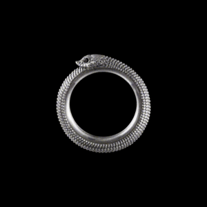 Ouroboros Spin Ring: Oxidized Silver, #7