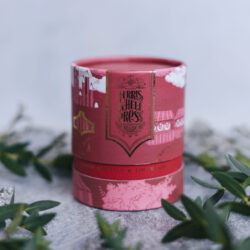 85mL Candy Marsala Fountain Pen Ink Ferris Wheel Press