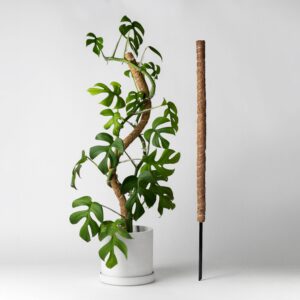 24"/32"/40 Bend & Stackable Coco Coir Pole for Plant Support: 25" Bendable Pole With Metal Stake