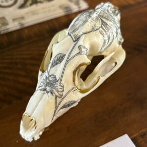 Floral Cat Skull