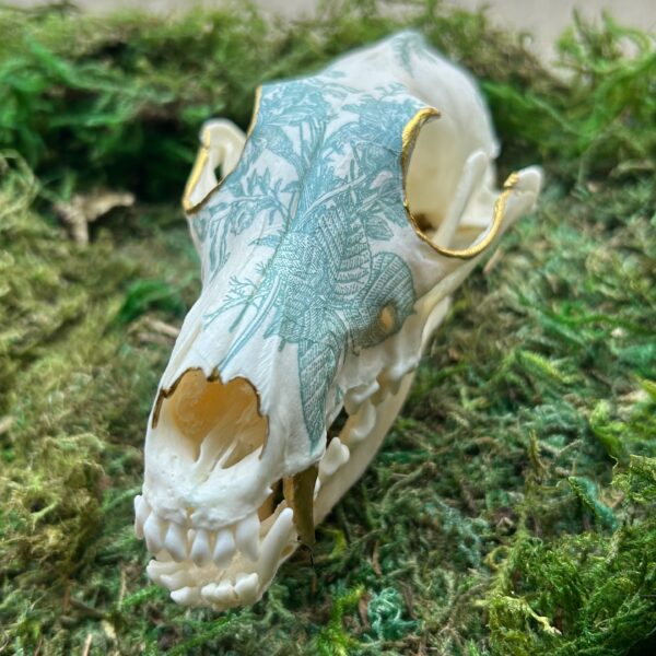 Floral Coyote Skull