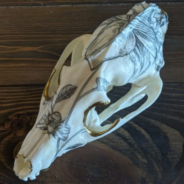 Floral Fox Skull