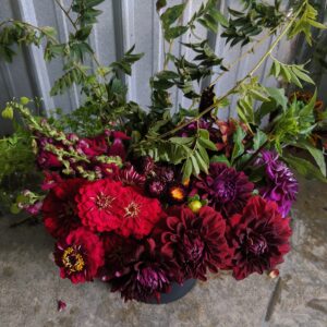 The Florist Bucket - Out of Season