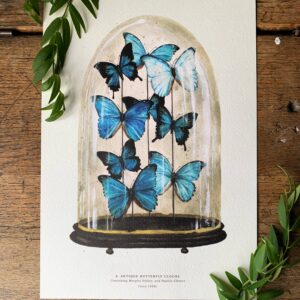 Blue Antique Butterfly Dome Watercolour Art Print