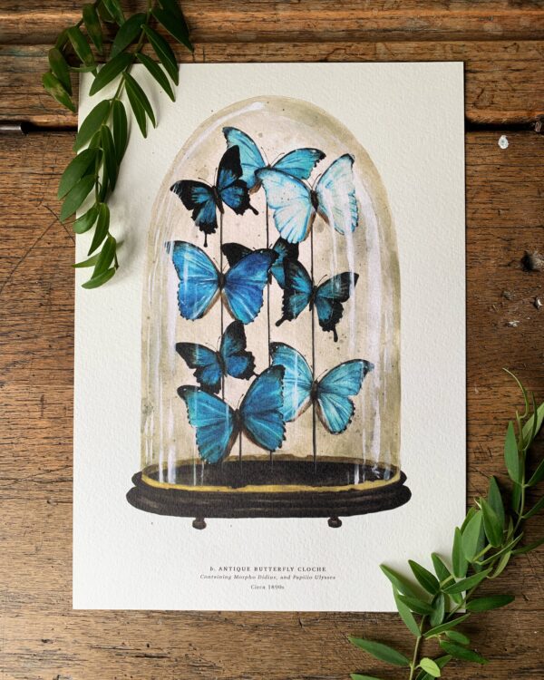 Blue Antique Butterfly Dome Watercolour Art Print