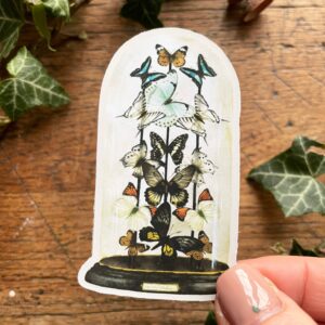 Butterfly Dome Matt Vinyl Sticker | Nature Oddity Art