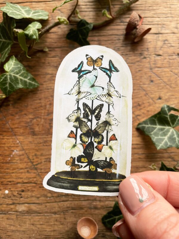 Butterfly Dome Matt Vinyl Sticker | Nature Oddity Art