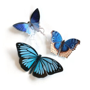 "Lupine" Butterfly Set Moth & Myth