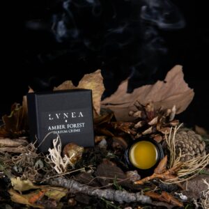 AMBER FOREST | Solid Perfume - Poplar bud, amber, spruce