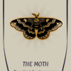 Protective Talisman Moth Enamel Pin Guide Lost Souls Original 31 100x100