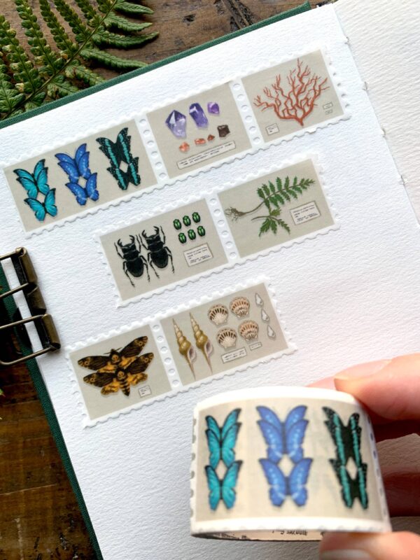 Specimen drawer stamp washi tape