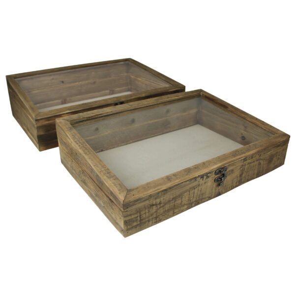 Davis Display Cases, Wood - Set of 2