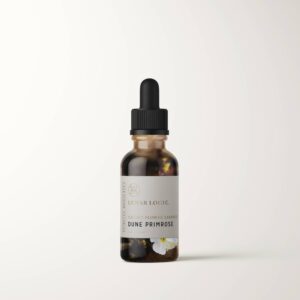 DUNE PRIMROSE / Flower Essence For Heart Connection