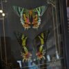 Framed pair Sunset moth - chrysiridia rhipheus - Rainbow butterfly Original 550 100x100