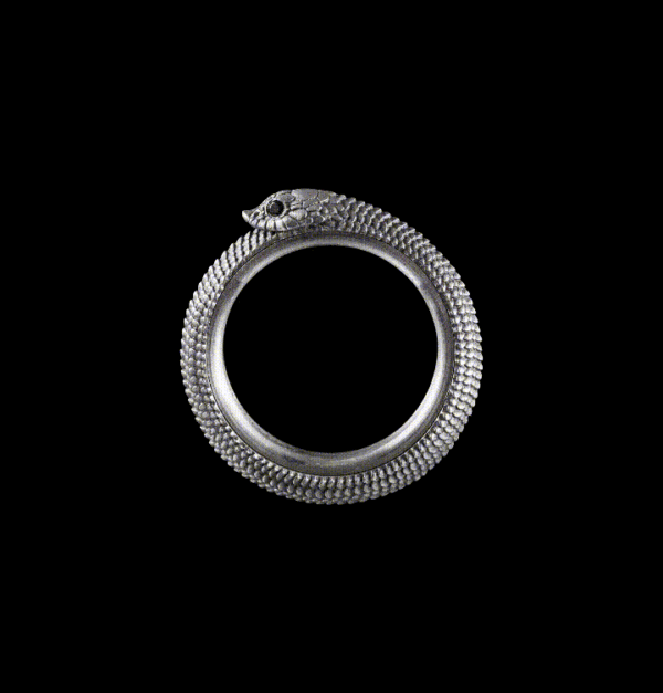 Ouroboros Spin Ring: Oxidized Silver, #11