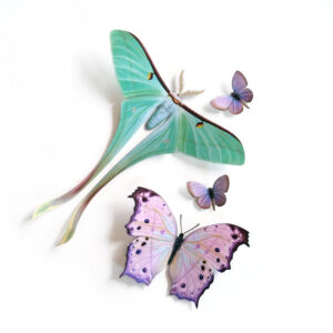 "Hyacinth" Moth Set Moth & Myth