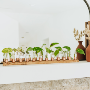 Copper Vase | Propagation Station | Pick your size: 12 Vial, Dark Walnut