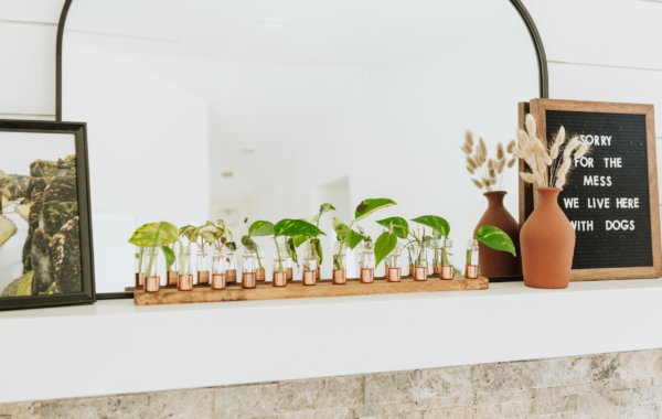 Copper Vase | Propagation Station | Pick your size: 12 Vial, Dark Walnut