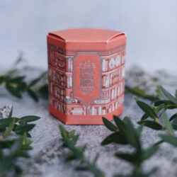 85mL Wonderland In Coral Fountain Pen Ink Ferris Wheel Press