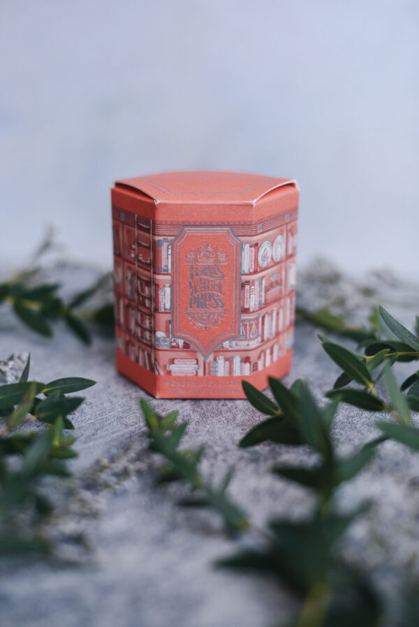 85mL Wonderland In Coral Fountain Pen Ink Ferris Wheel Press