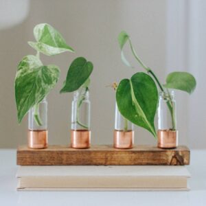 Copper Vase | Propagation Station | Pick your size: 4 Vial, Dark Walnut