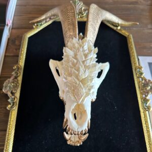 The White Dragon Bone Art