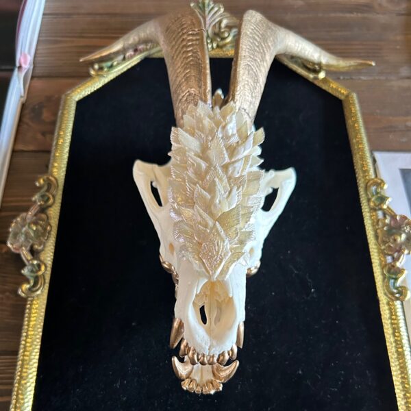 The White Dragon Bone Art