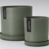 Original 60 Scaled 100x100