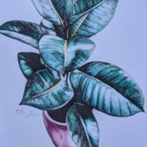 Rubber Tree Card by Elena Johnson