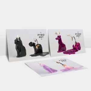 Set of 3 Pyropet Display Cards