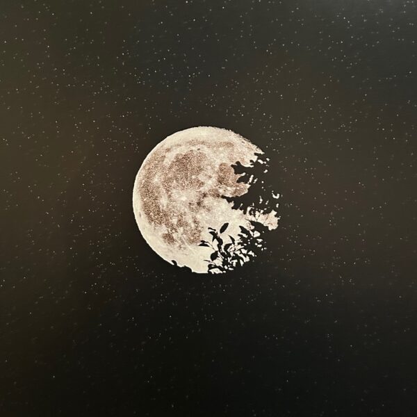 Buck Moon Print