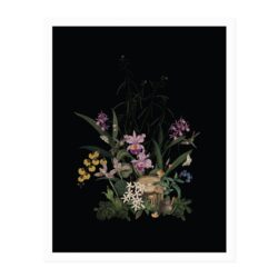 Orchid Garden Art Print