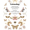 Dusty Pink Illustrated Butterfly Pattern Poster 2 100x100