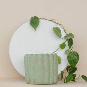 Scallop Planter - 4.5" | Concrete Plant Pot: Green