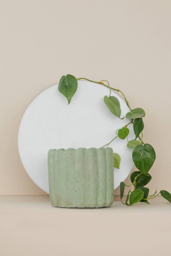 Scallop Planter - 4.5" | Concrete Plant Pot: Green