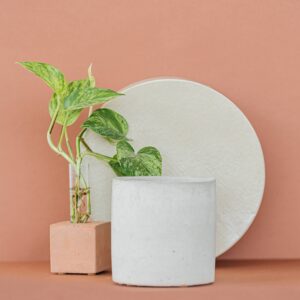 Round Planter - 4.5" | Large Concrete Planter with Hole: Raw Concrete