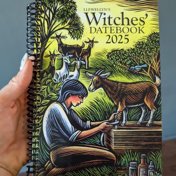 Llewellyn's 2025 Witches Datebook