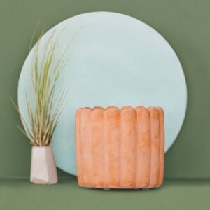 Scallop Planter - 4.5" | Concrete Plant Pot: Terra Cotta