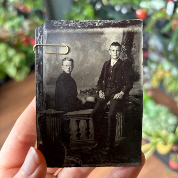 Young Man Antique Tin Type