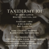 February- Taxidermy 101 - Image 2