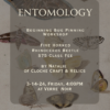 March- Beginning Entomology - Image 3