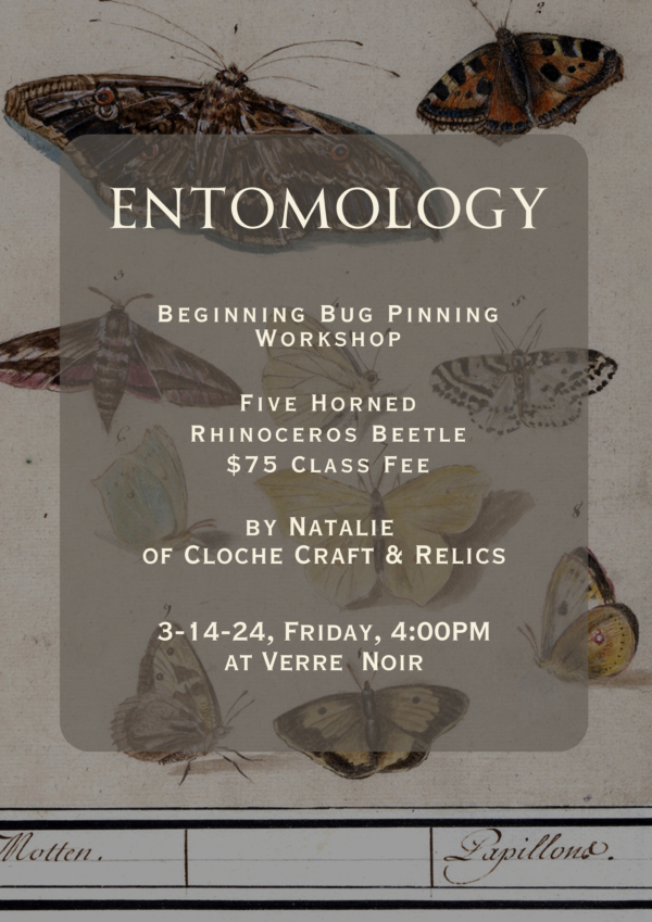 March- Beginning Entomology - Image 3