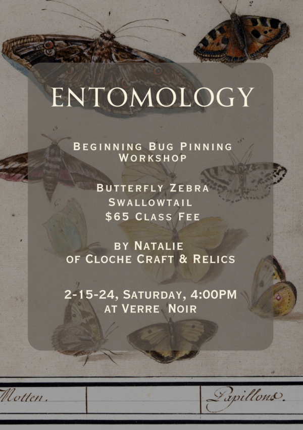 February- Beginning Entomology - Image 3