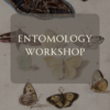 May - Entomology - Image 3