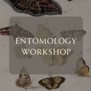 February- Beginning Entomology