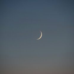 June - New Moon Ritual