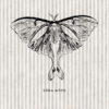 May - Entomology