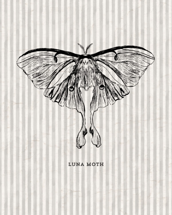 May - Entomology