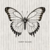 May - Entomology - Image 2