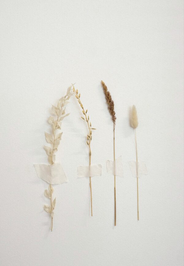 Intersection of BONE & BLOOM